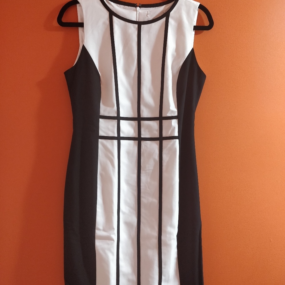 Mango Dress